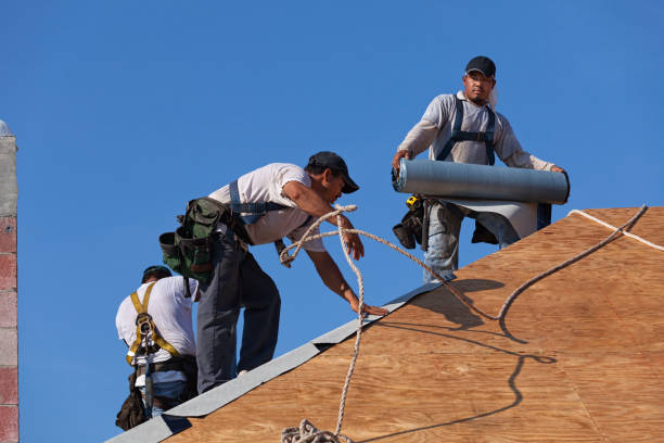 Best Roof Gutter Cleaning  in Greenwood, MO