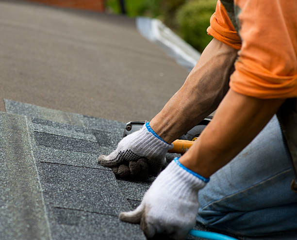 Best Roof Maintenance Services  in Greenwood, MO